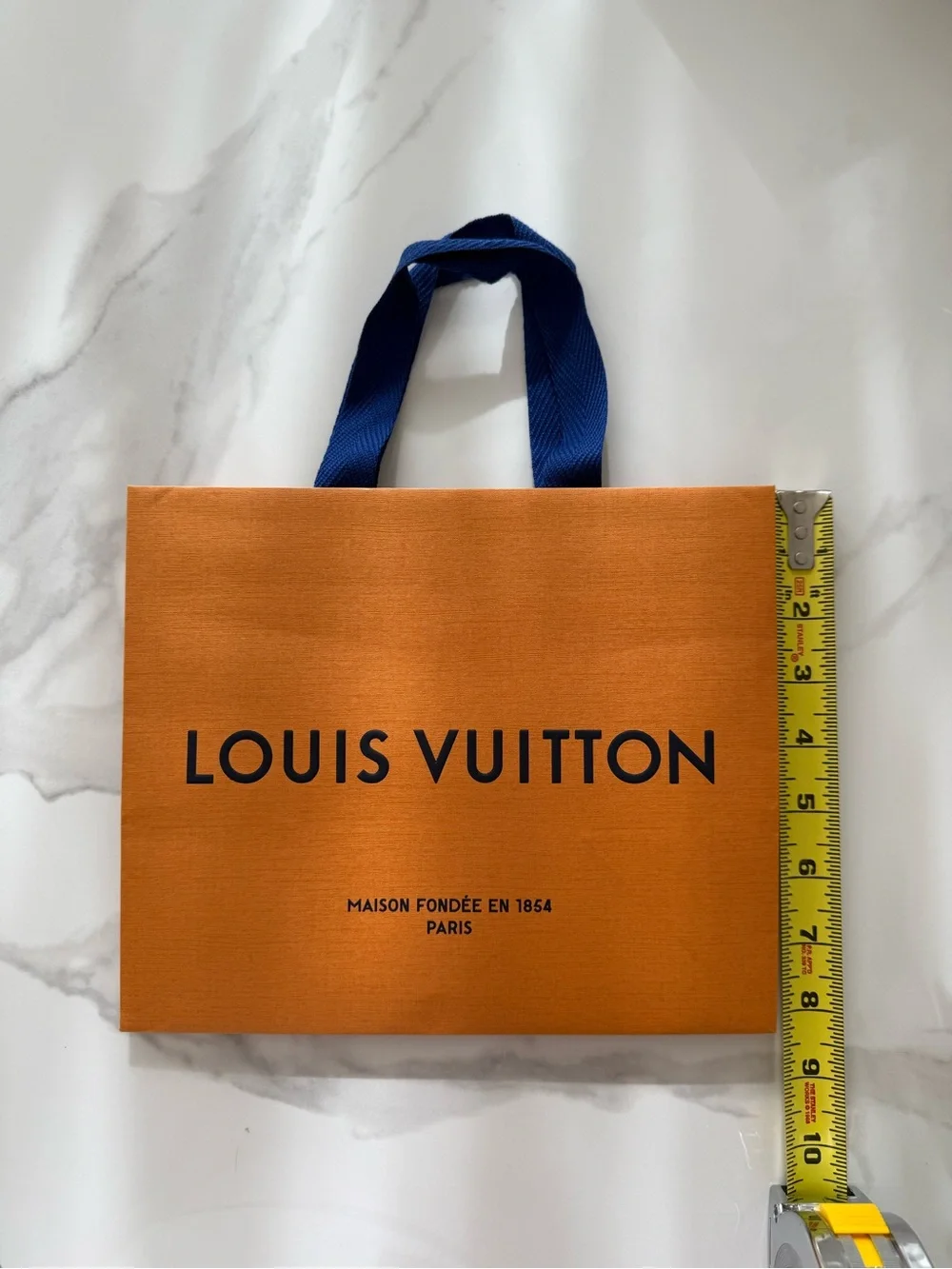 Louis Vuitton Medium Size Reusable Shopping Bag